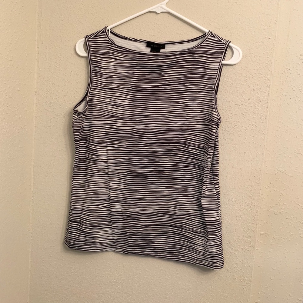 The Limited shirt